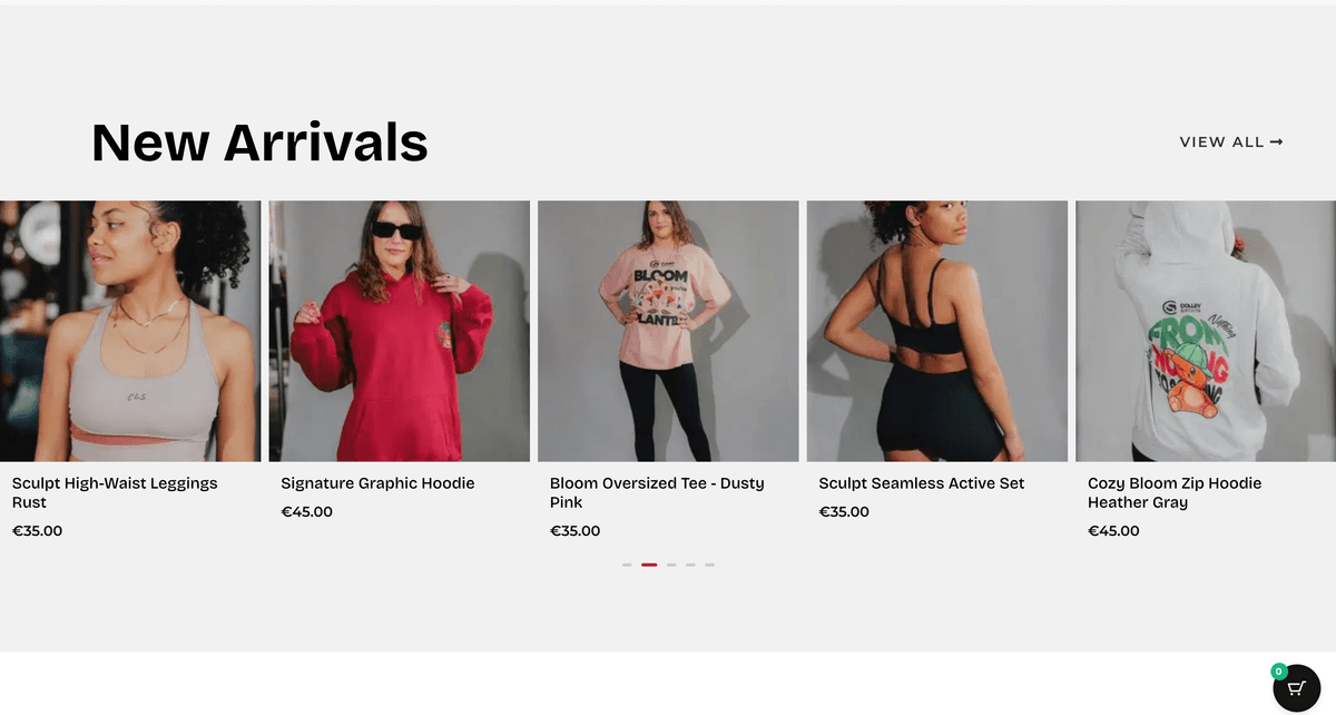 Colley & Sanyang E-commerce Platform - Screenshot 2