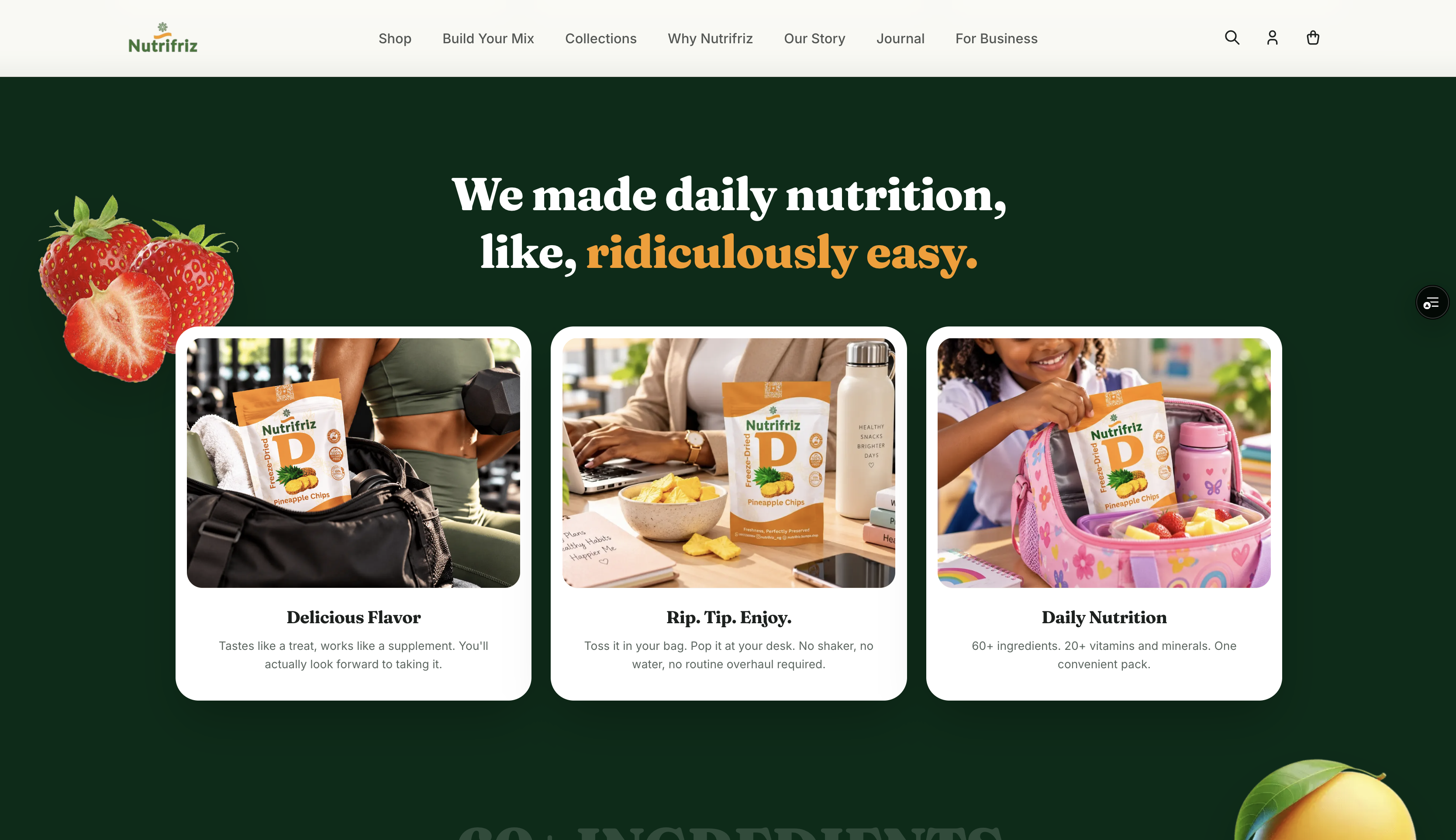 Nutrifriz Web Application screenshot 5