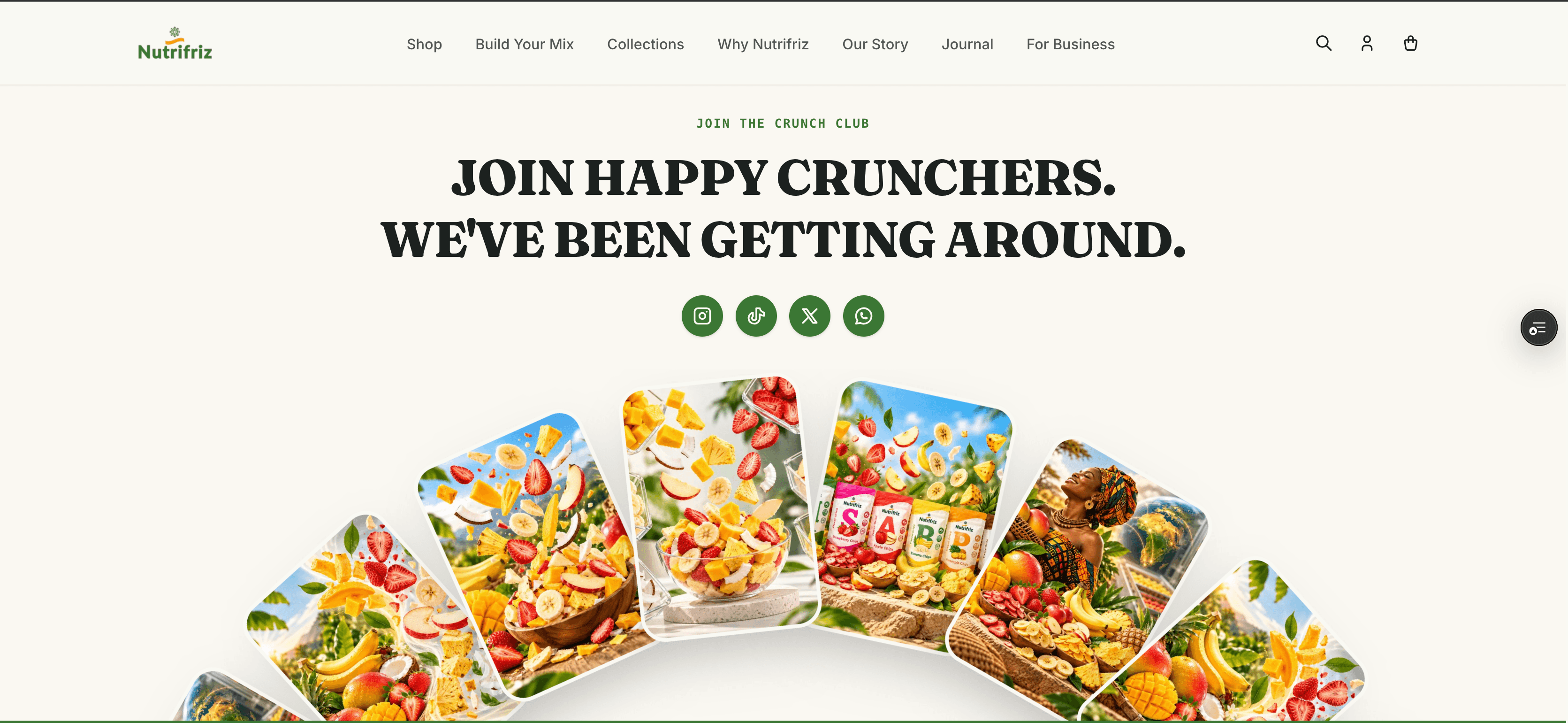 Nutrifriz Web Application screenshot 6